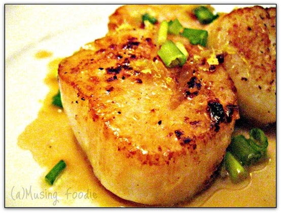 Delicious seared scallops garnished with green onions and a light sauce on a white plate.