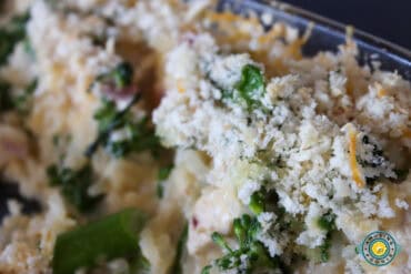 Chicken and broccoli casserole close up