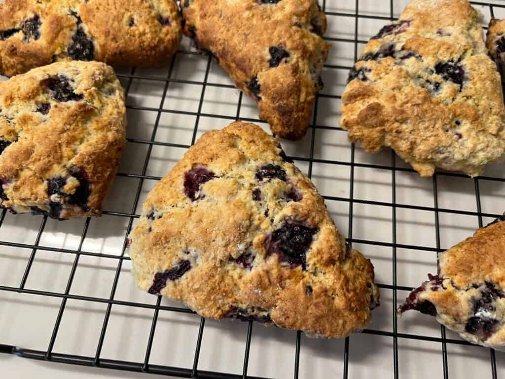 Blackberry scone in cooling rack